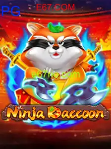 NinjaRaccoon